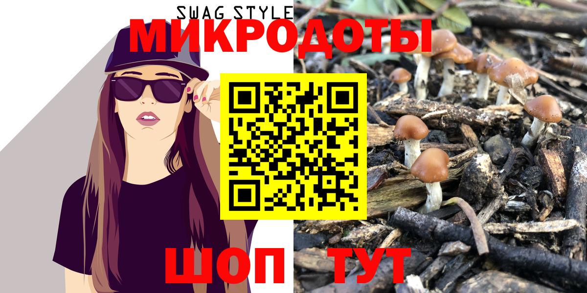 Псилоцибиновые грибы прущие грибы  Вход с VPN  Камень-на-Оби  Псилоцибиновые грибы мухоморы 