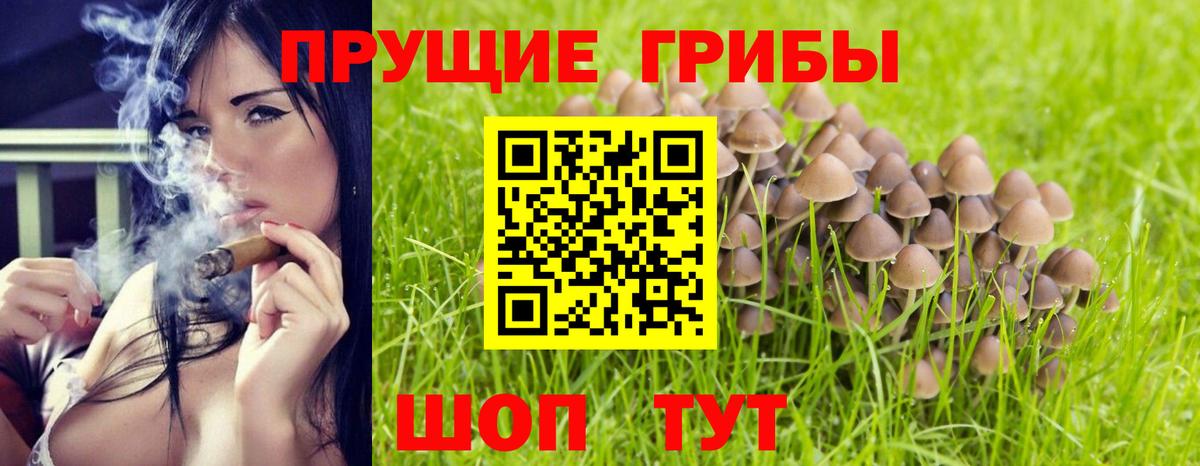 Галлюциногенные грибы прущие грибы Камень-на-Оби